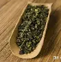 “乌龙王”再现！郑智斩获乌龙球，助广州富力主场险胜的简单介绍